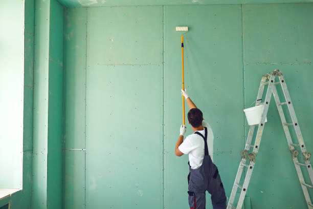 Best Post-Construction Mold Inspection  in Cvallis, OR