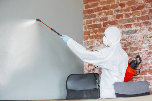 Best Emergency Mold Remediation  in Cvallis, OR