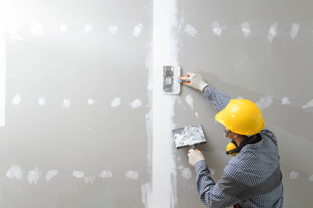 Best Real Estate Mold Inspection  in Cvallis, OR