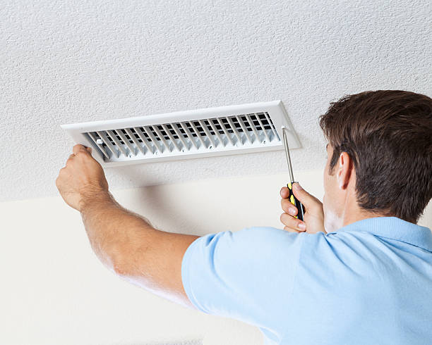 Best Black Mold Removal  in Cvallis, OR